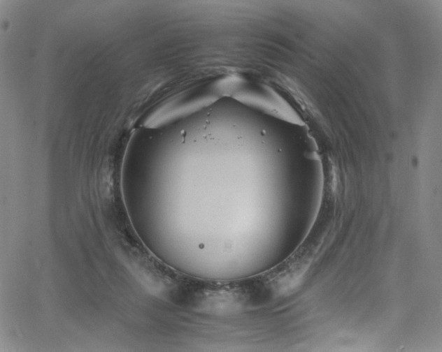 X0000062630259200512211236