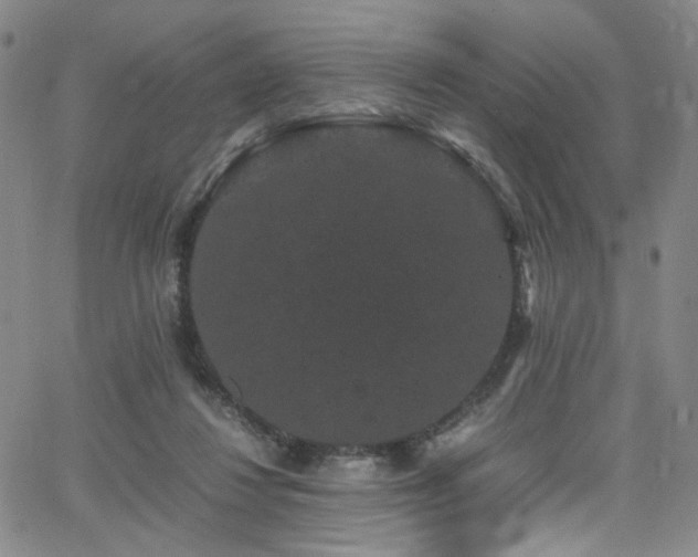 X0000062630260200512211236