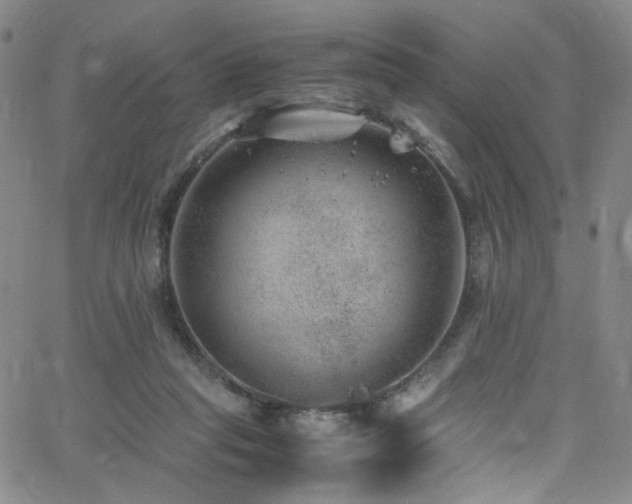 X0000062630261200512211236