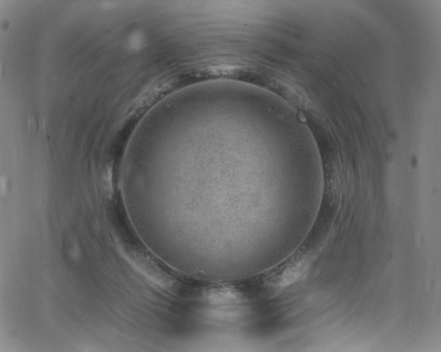 X0000062630262200512211237