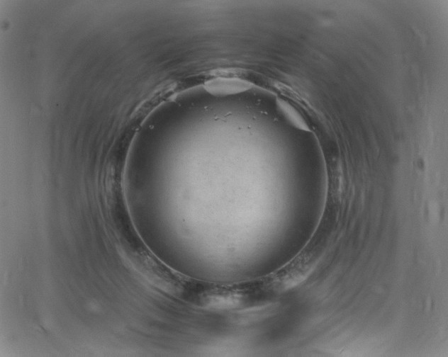 X0000062630263200512211237