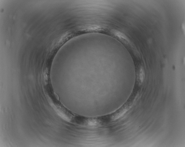 X0000062630264200512211237