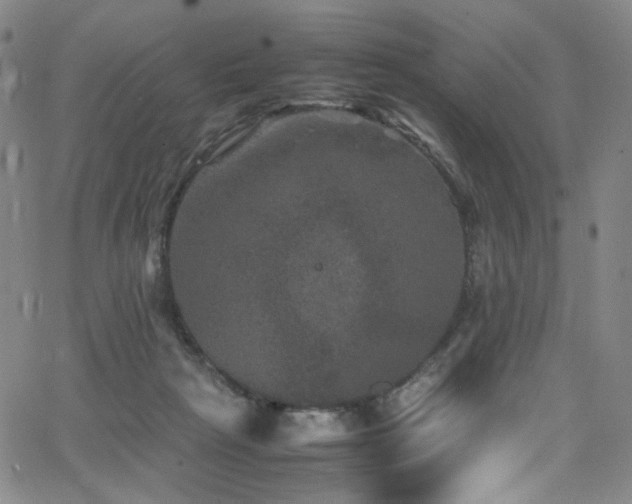 X0000062630265200512211237