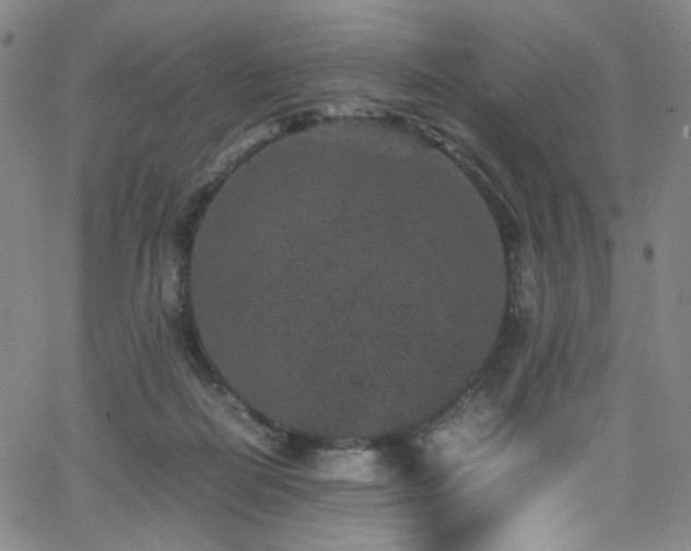 X0000062630266200512211237