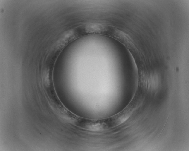 X0000062630267200512211237