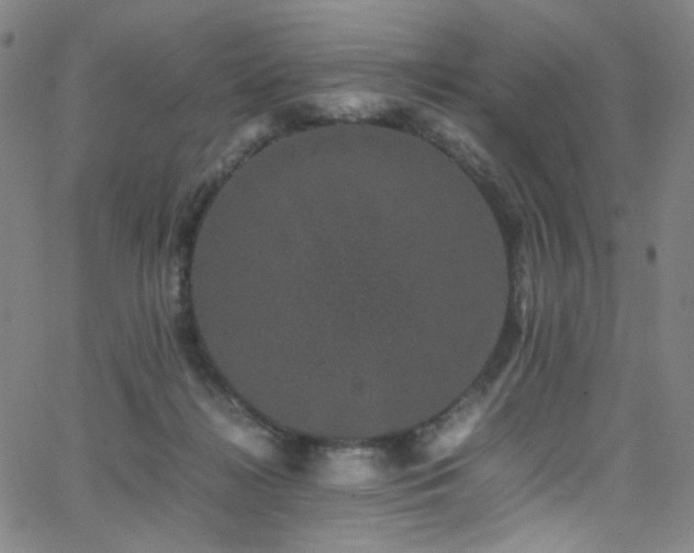 X0000062630268200512211237