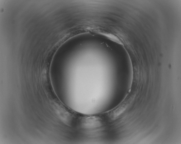 X0000062630269200512211237