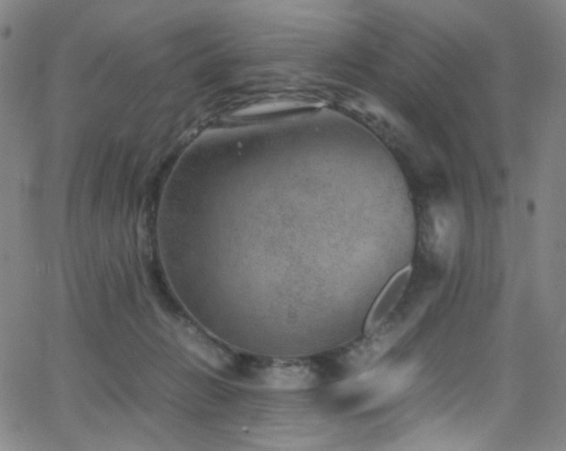 X0000062630270200512211237