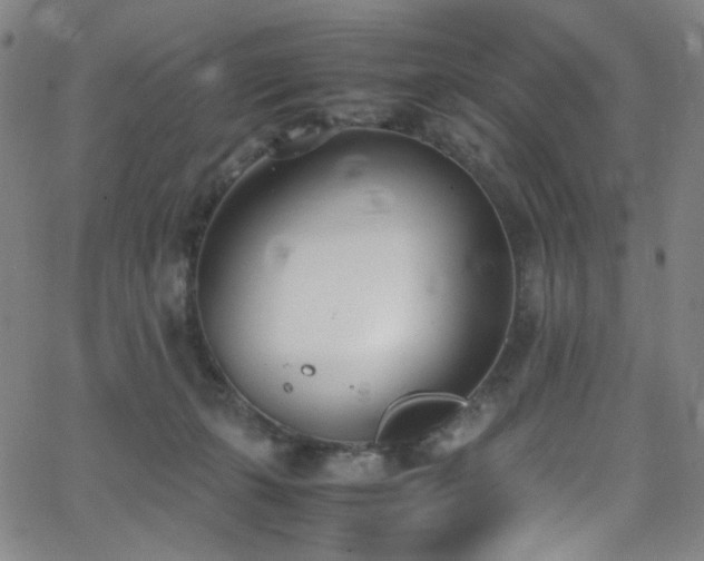 X0000062630271200512211237