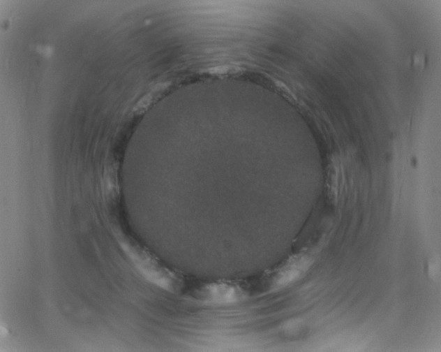 X0000062630272200512211237