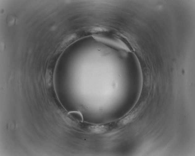 X0000062630273200512211237