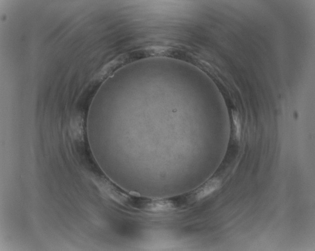 X0000062630274200512211237