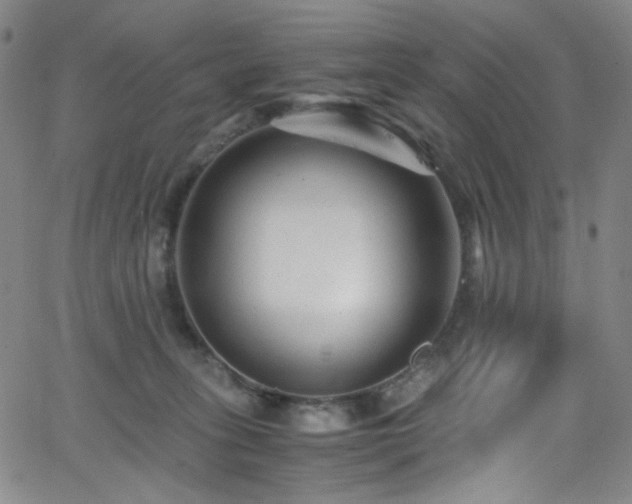 X0000062630275200512211237