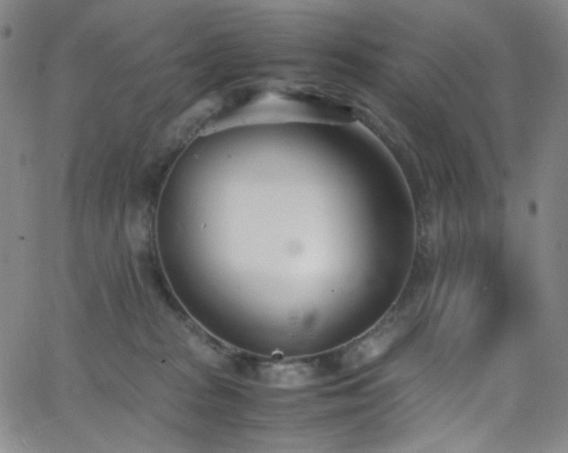 X0000062630277200512211237