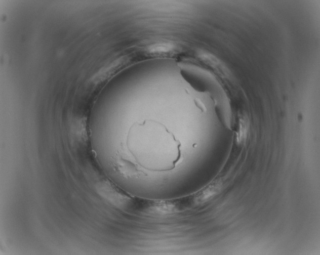 X0000062630278200512211237