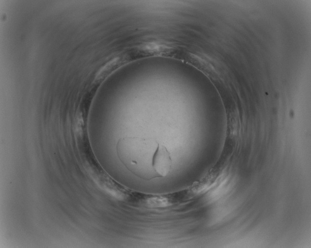 X0000062630279200512211237