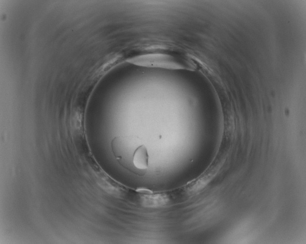 X0000062630281200512211237