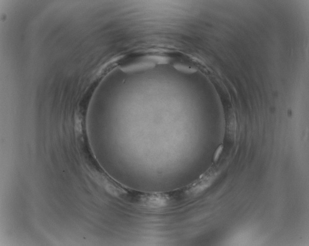 X0000062630282200512211237