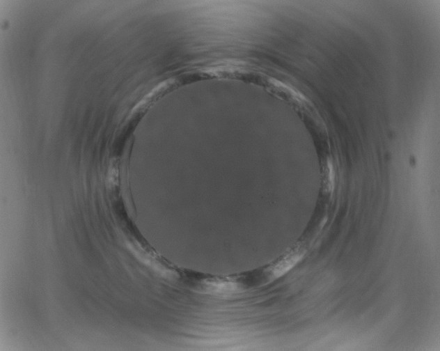 X0000062630284200512211237