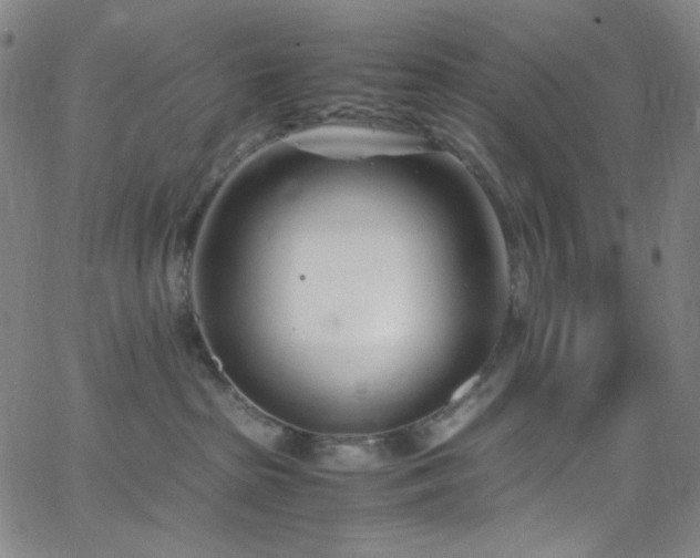 X0000062630285200512211237