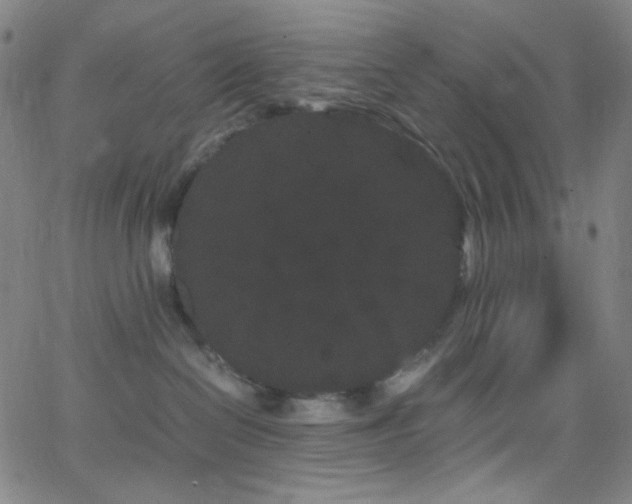 X0000062630286200512211237