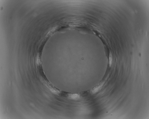 X0000062630287200512211237