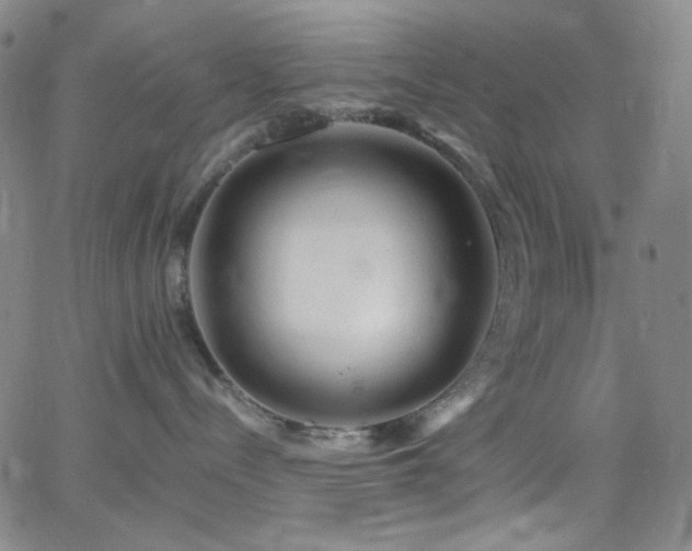 X0000062630288200512211237