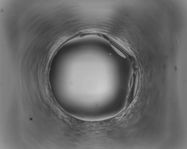 X0000062630289200512211236