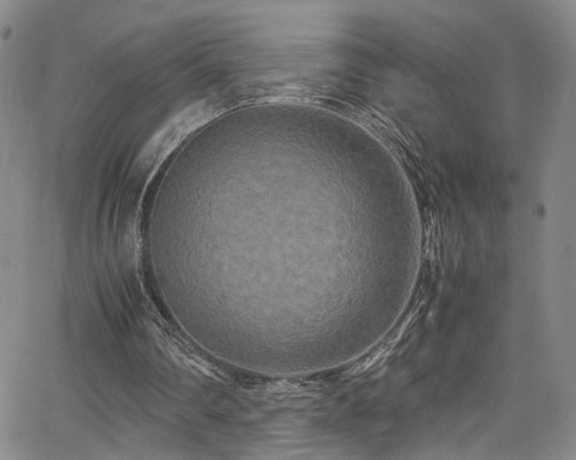 X0000062630290200512211236