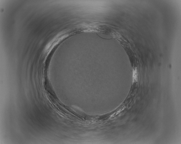 X0000062630291200512211236