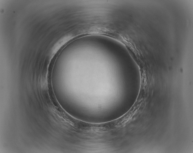 X0000062630292200512211236