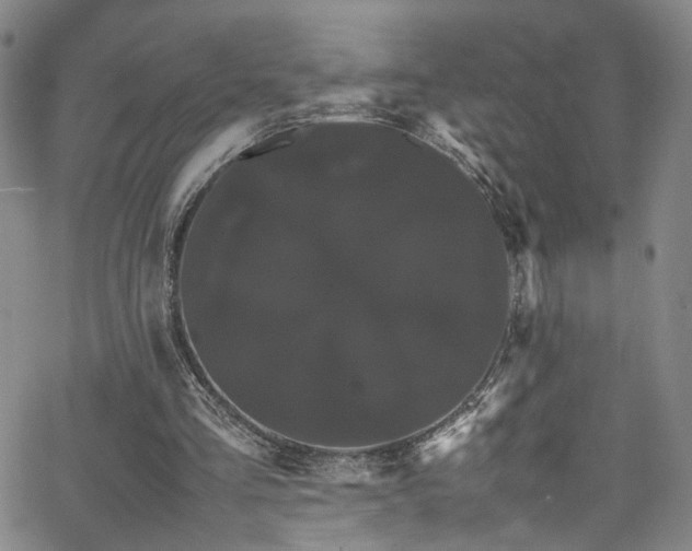 X0000062630293200512211236