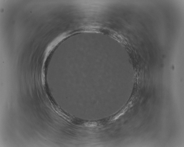 X0000062630294200512211236