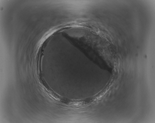 X0000062630295200512211236