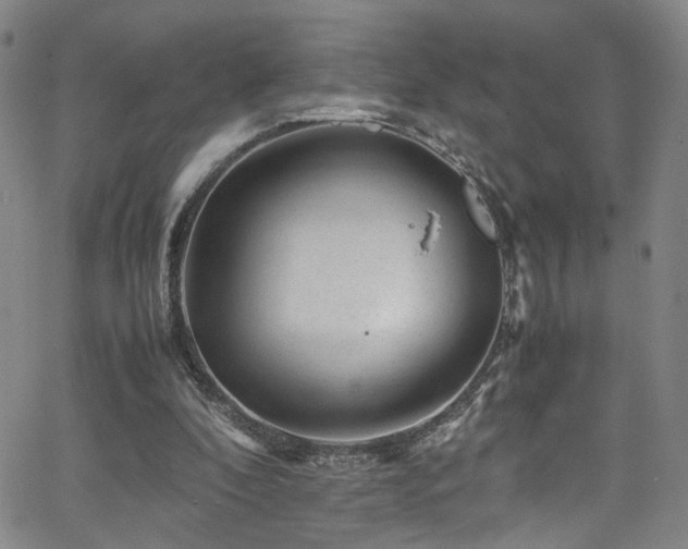 X0000062630296200512211236