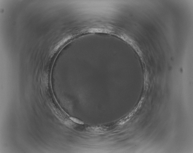 X0000062630297200512211236