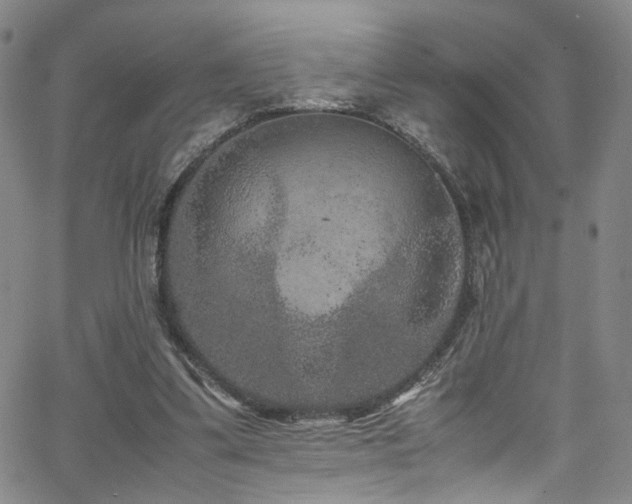 X0000062630299200512211236