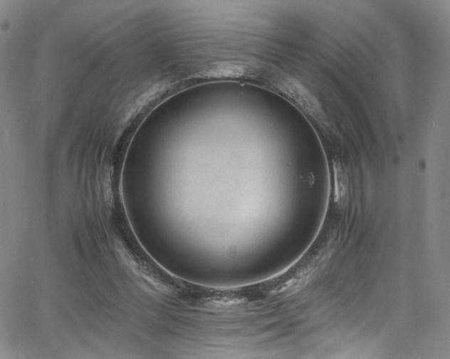 X0000062630300200512211236