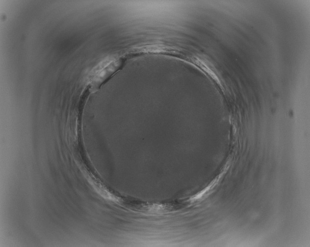 X0000062630301200512211236