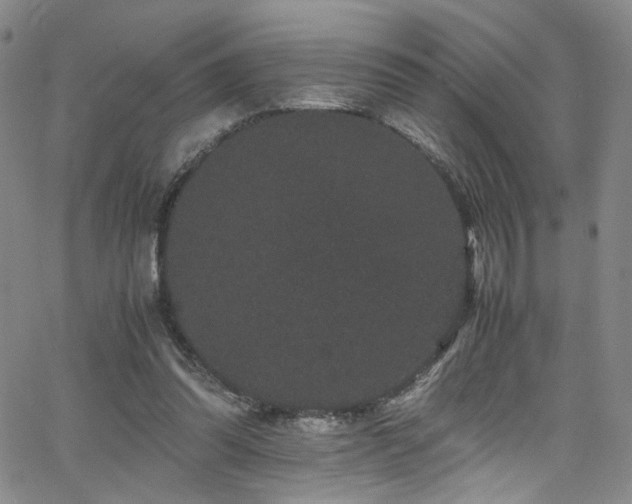 X0000062630302200512211236