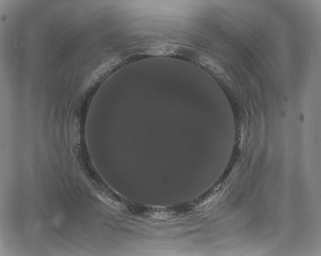 X0000062630303200512211236