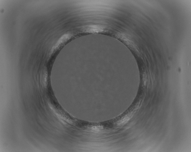 X0000062630304200512211236