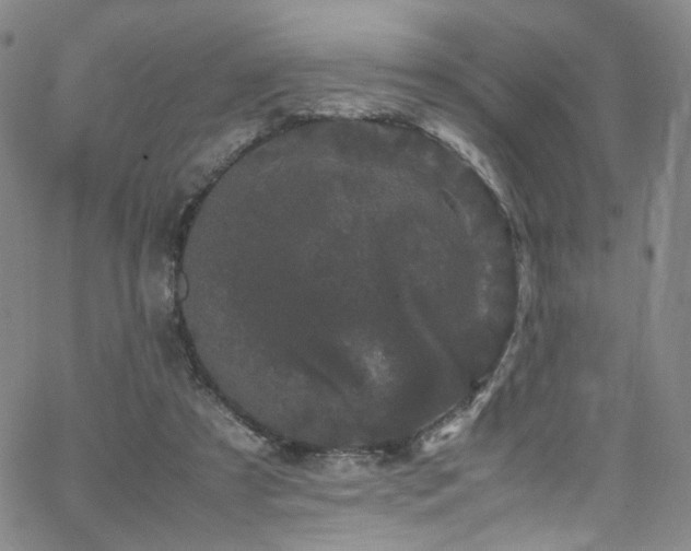 X0000062630305200512211236