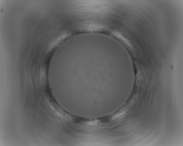 X0000062630306200512211236