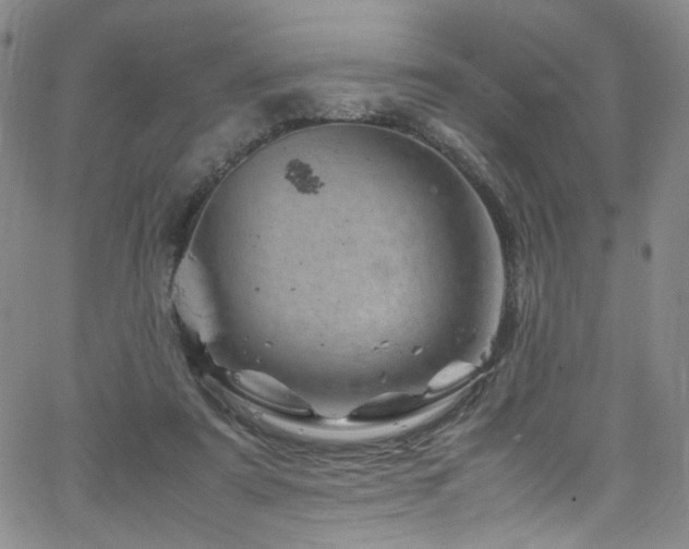 X0000062630307200512211236