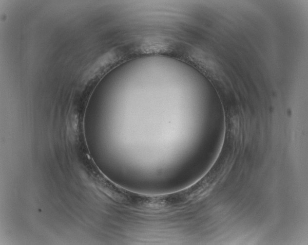 X0000062630308200512211236