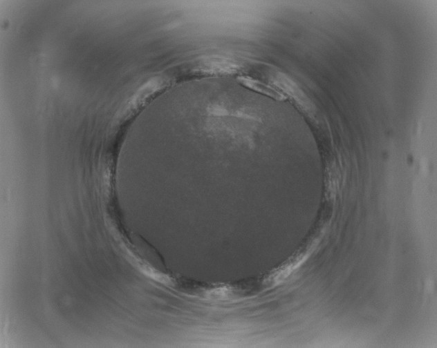 X0000062630309200512211236