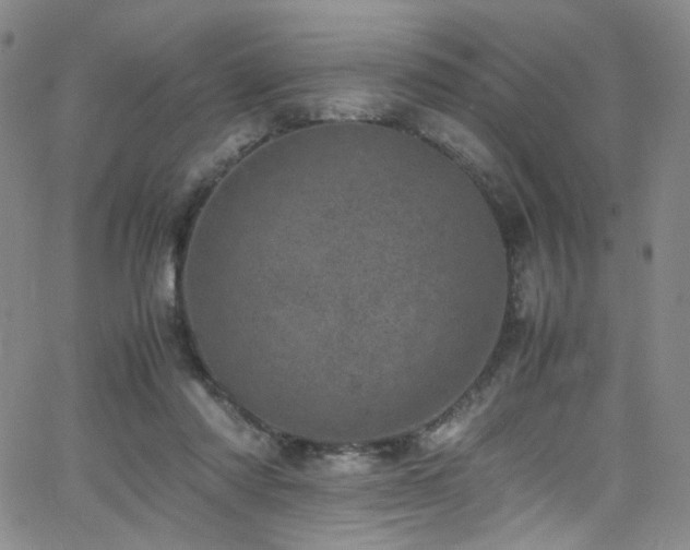 X0000062630310200512211236