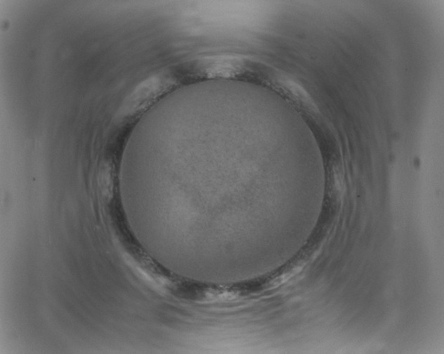 X0000062630311200512211236