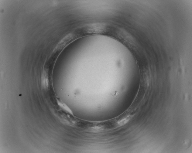 X0000062630312200512211236